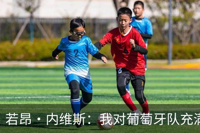 若昂·内维斯：我对葡萄牙队充满信心，我们会改进不足